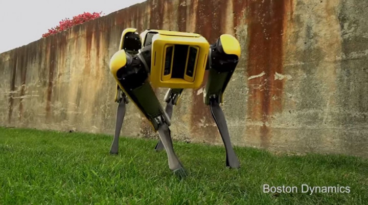 Robot  Anyar Ciptaan Boston Dynamics Selincah Anjing