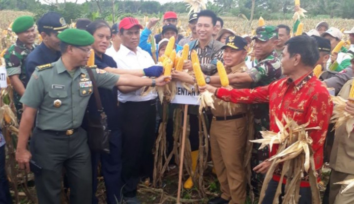 Kementan Kucurkan Rp100 Miliar ke Petani Barito Utara