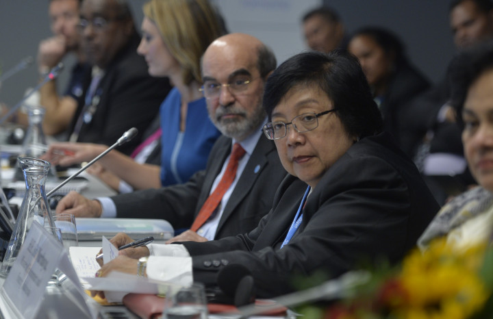 Ini Jurus Indonesia Jawab Dilema Pelestarian Lingkungan