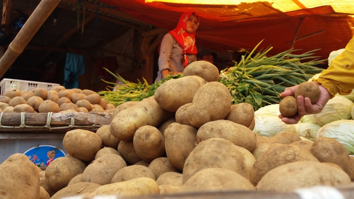 Ekspor Kentang Belgia ke Indonesia Naik