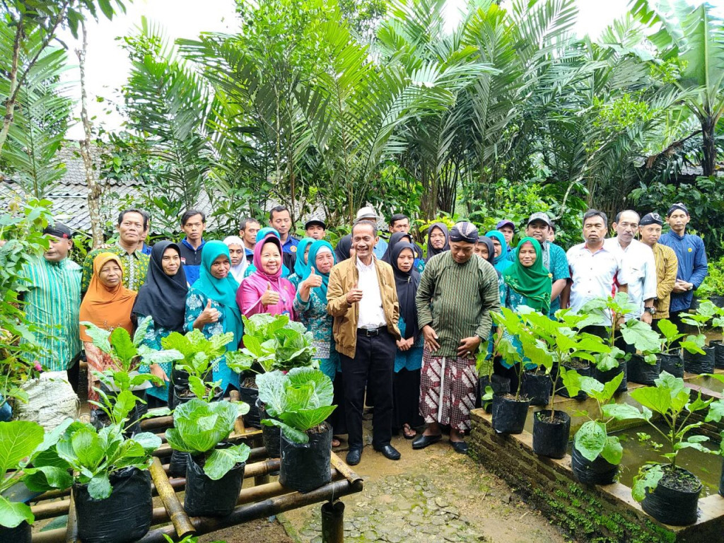 Kepala BKP Agung Hendriadi menyaksikan keberhasilan program KRPL di Desa Sidoharjo. Foto: Humas BPK