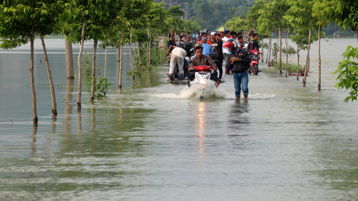 Lahan Padi Seluas 300 Ha Terendam Banjir di Tuban