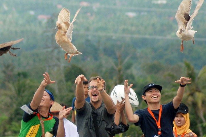 Keseruan Turis Belajar Pacu Itik di Payakumbuh