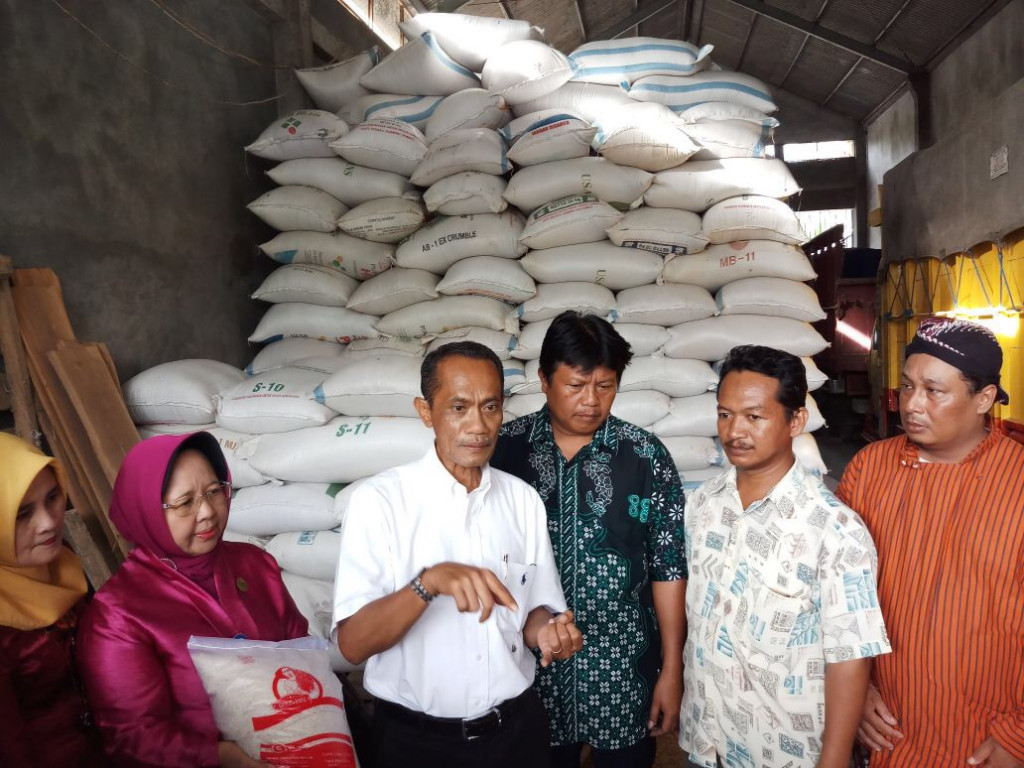 Kepala Badan Ketahanan Pangan (BKP) Agung Hendriadi/ Foto: Dok. Kementan