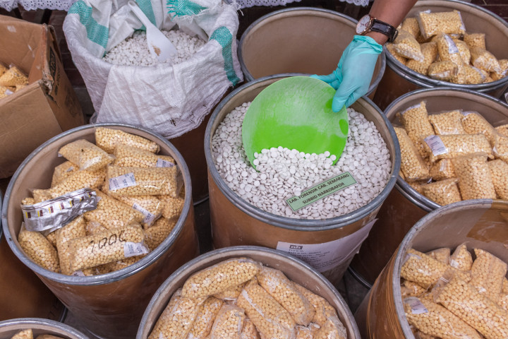 PCC tak Dapat Dikategorikan sebagai Narkoba