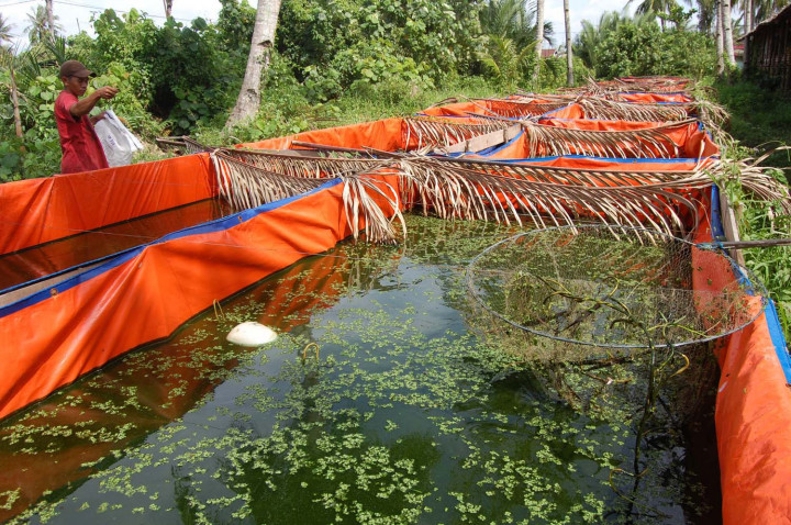 Sektor Perikanan di Bantul Merugi Rp1,8 Miliar Akibat Bencana