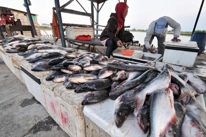 Cuaca Buruk, Harga Ikan Melonjak