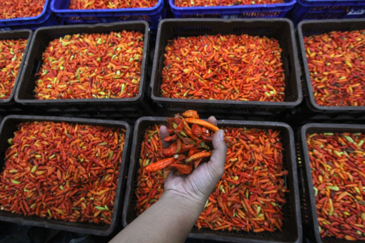 Harga Cabai Rawit Capai Rp10 Ribu/Kg