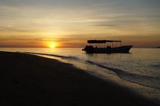 Pala, Pulau Banda, dan Riwayatnya Kini