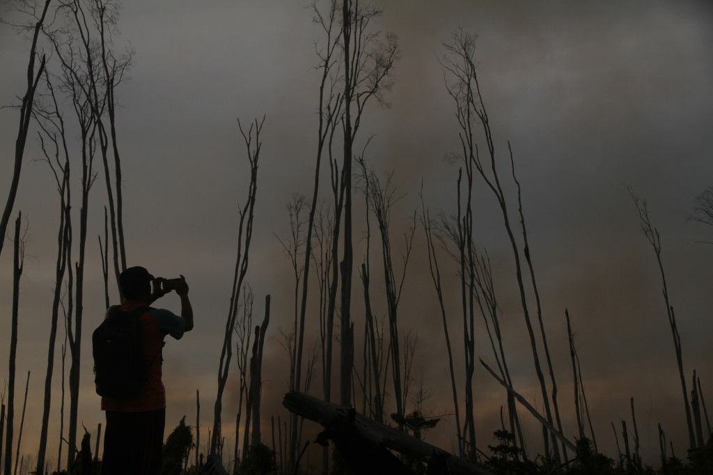 Ilustrasi: Seorang warga mengabadikan kebakaran lahan gambut dengan ponselnya. Foto: Antara/Syifa Yulinnas