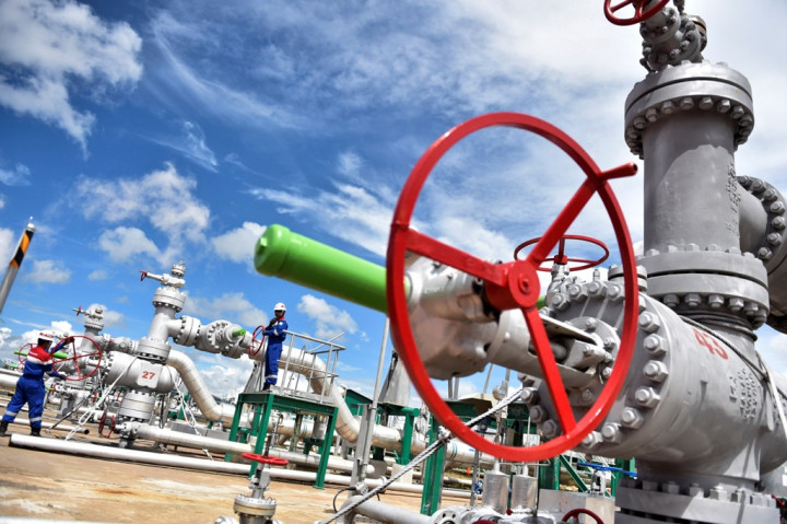 PGE Siapkan Investasi USD300 Juta di 2018