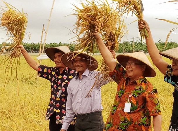 <i>Tiada Hari Tanpa Panen, Lupakan Paceklik</i>