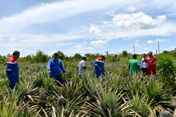 Ini Komitmen Pertamina dalam Mitigasi Karhutla