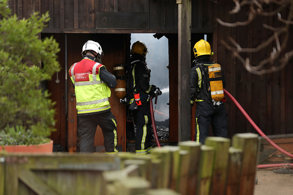 Beruang Semut di Kebun Binatang London Hilang Akibat Kebakaran