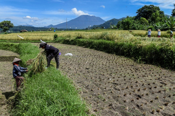 Erupsi Gunung Agung, Ekonomi Karangasem Bali Mati Suri