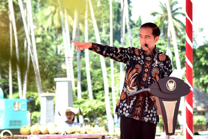 Presiden Minta Warga Berhati-hati saat 'Sekolahkan' Sertifikat Tanah