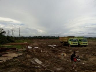 Konservasi TWNC Terancam Akibat Tambak Ilegal