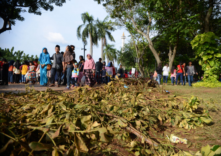 Kerusakan Rumput Monas Dinilai Tak Terlalu Parah