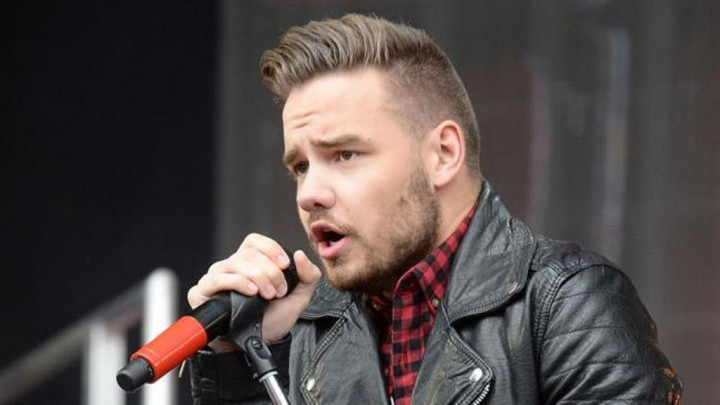 Liam Payne Berbagi Momen Terbaik Selama Setahun Tanpa One Direction