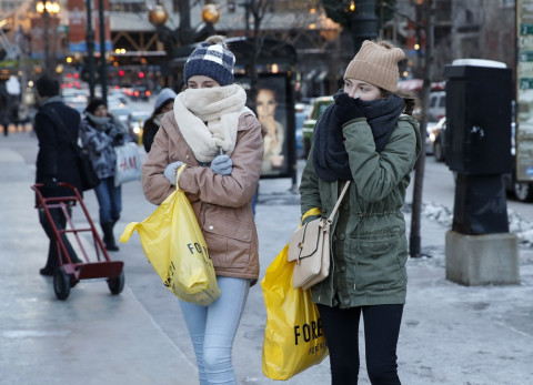 66 Gambar Montase Hewan Peliharaan Gratis