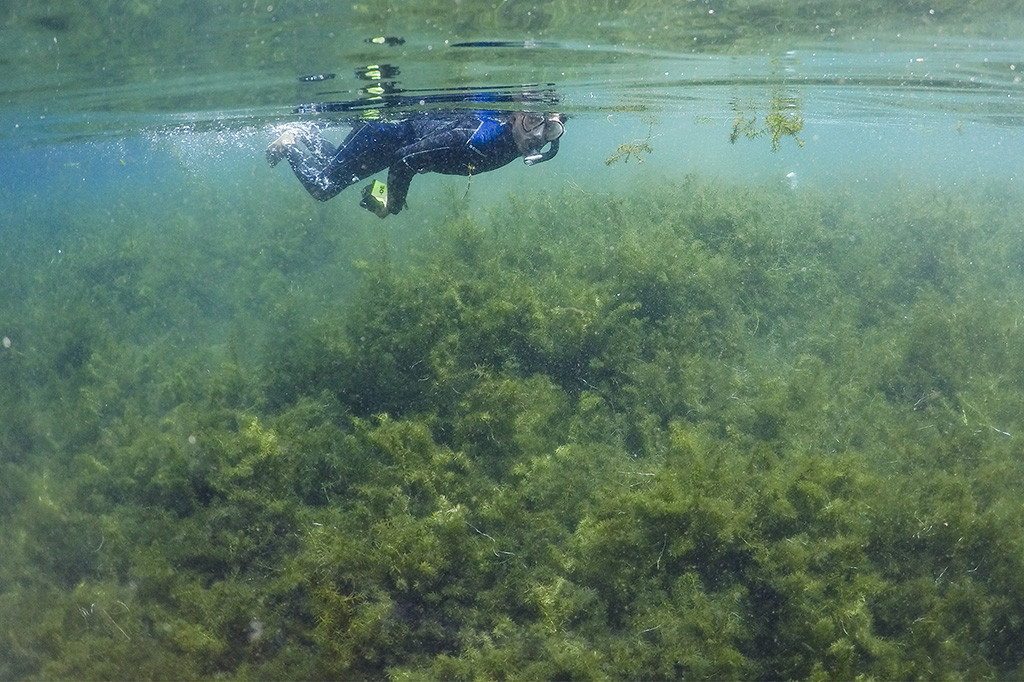 Mengunjungi Destinasi Wisata Mata Air Cisaladah