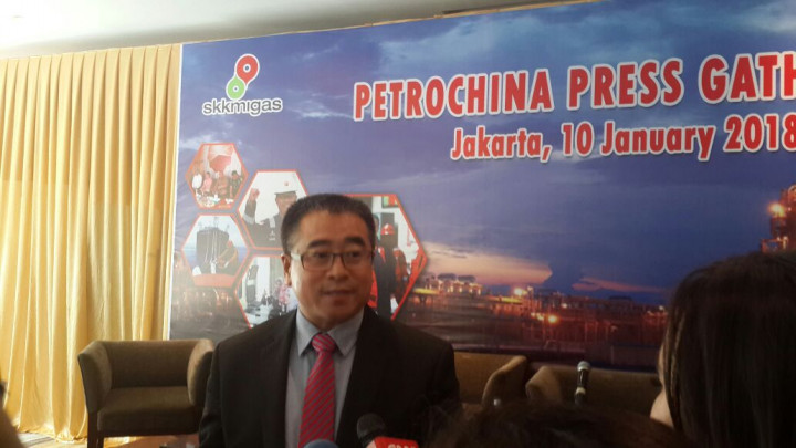 Punya Teknologi, PetroChina Tertarik Kembangkan East Natuna