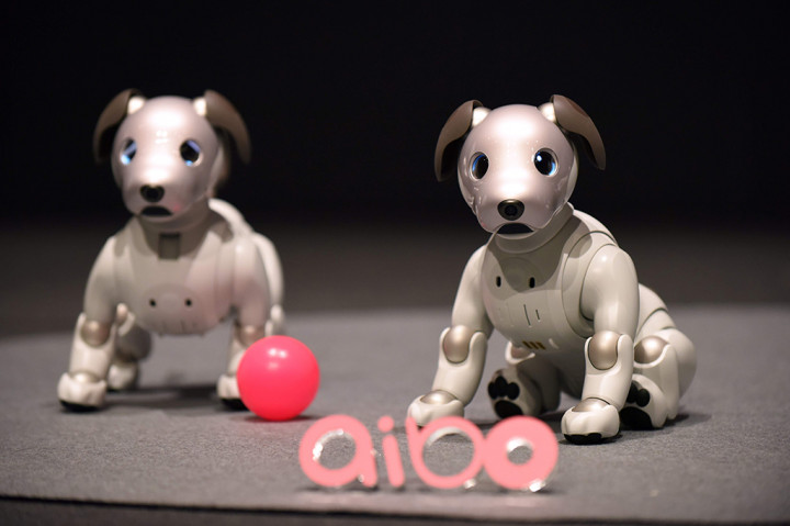 Sony Hidupkan Kembali Robot Anjing Aibo