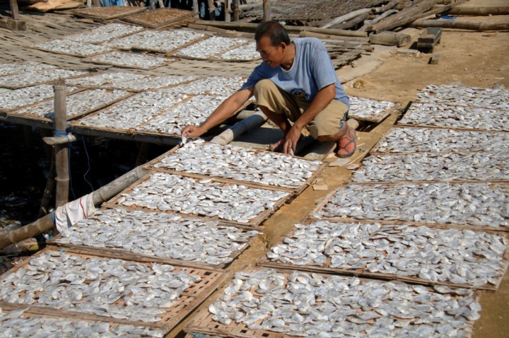 Gantikan Cantrang, KKP Sebar 7.255 Paket Alat Penangkap Ikan di 2017