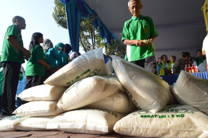 Pemerintah Diimbau Hati-Hati Impor Beras Jelang Panen Raya
