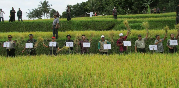 Panen Berkali-kali via Teknologi Salibu