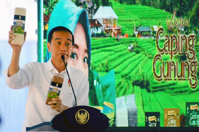 Presiden: Akses Menuju Asmat Sangat Sulit