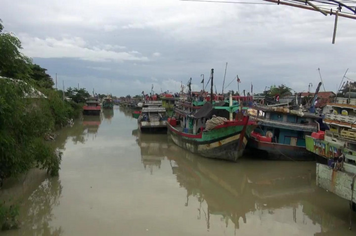 Meski Tanpa Izin, Nelayan Nekat Tangkap Ikan dengan Cantrang