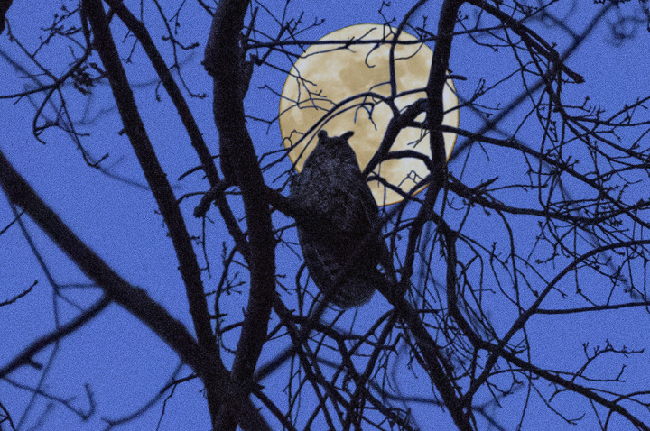 Supermoon, Masyarakat Diimbau Waspada Rob