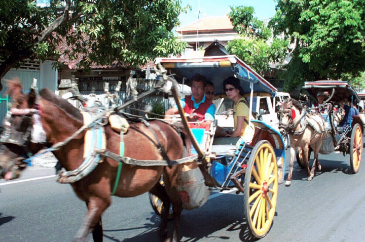 Pikat Turis dengan Dokar Gratis