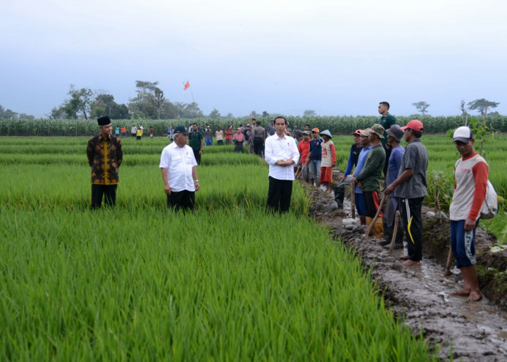 Presiden Yakin Program Padat Karya Bermanfaat buat Masyarakat