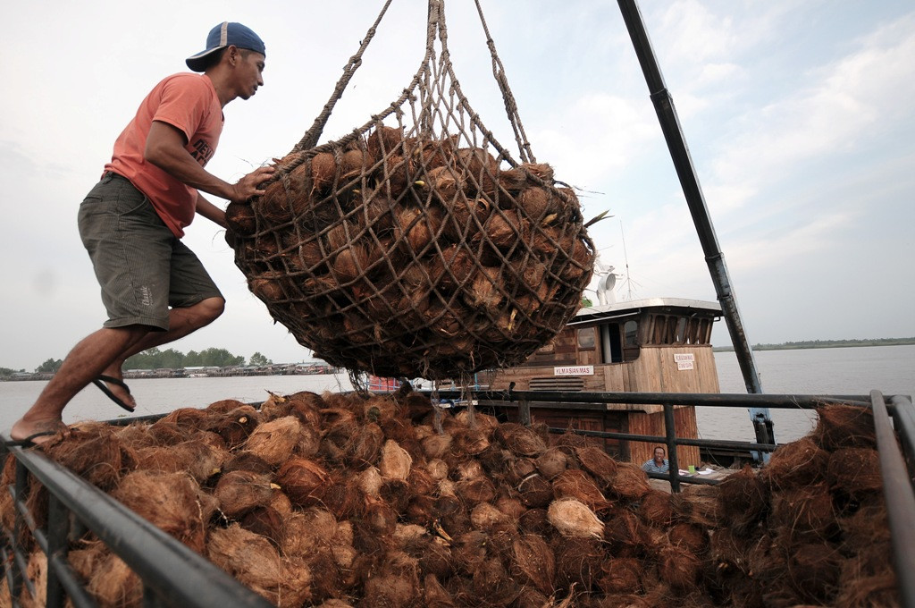 Seorang buruh sedang memuat buah kelapa untuk diekspor. (FOTO: ANTARA/Wahdi Septiawan)