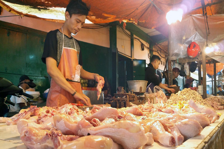 Pedagang Ayam di Jabar Berencana Mogok Jualan