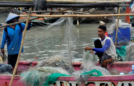 Kelangkaan Ikan di Laut Jawa Dinilai Bukan Karena Cantrang