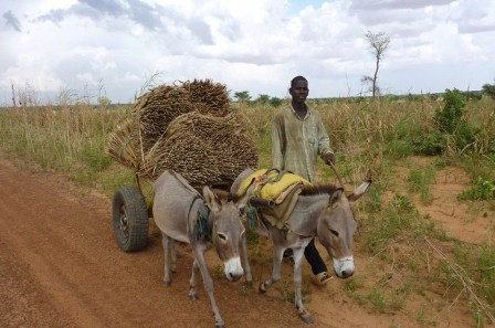 PBB: Ratusan Ribu Orang Terancam Mati Kelaparan di Kongo