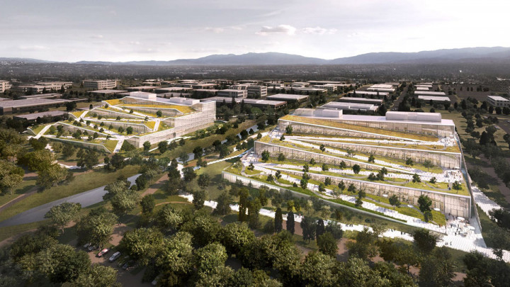 Karibia Zigzag ala Google