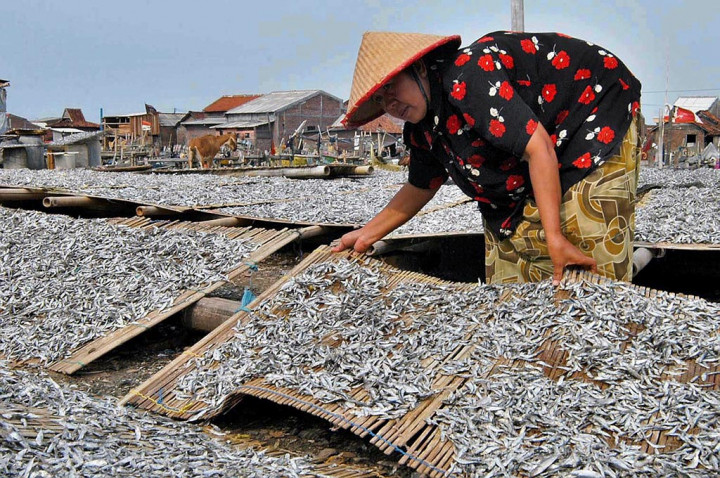 Tujuh Pabrik Surimi Diminta Diversifikasi Bahan Baku