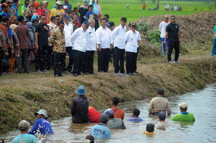 Tawa Jokowi saat Tinjau Desa Padat Karya Tunai di Banyuasin