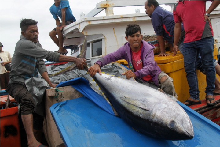 Nelayan dan Surat Edaran Tertulis untuk Cantrang