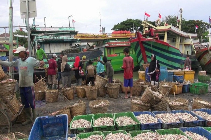 Sekali Melaut, Kapal Cantrang Butuh Bekal hingga Rp100 Juta