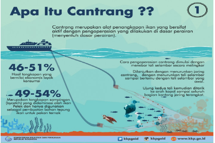 Akademisi IPB: Cantrang Bisa Digunakan di Perairan tanpa Karang