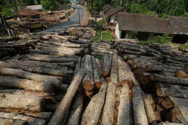 Bea Cukai Kepri Gagalkan Penyelundupan 171 Ton Rotan