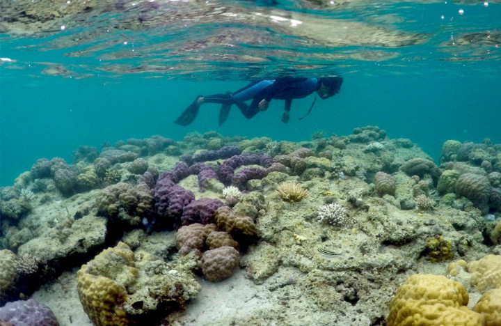 Perlu Regulasi dalam Menjalankan <i>Blue Economy</i>