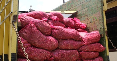 Penyelundupan 10 Ton Bawang Merah Ilegal Digagalkan