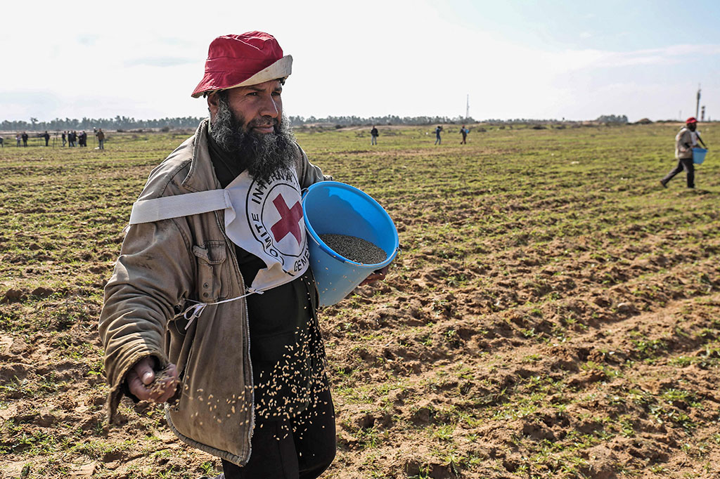 Warga Gaza Kembali Bertani di Perbatasan