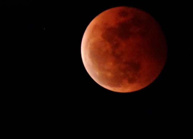 Media Group Gelar Salat Khusuf Gerhana Bulan